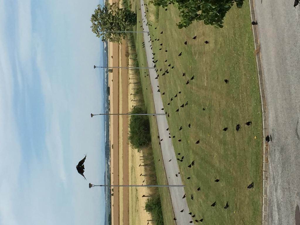 Birdland Villapark Golf View Buk Luaran gambar